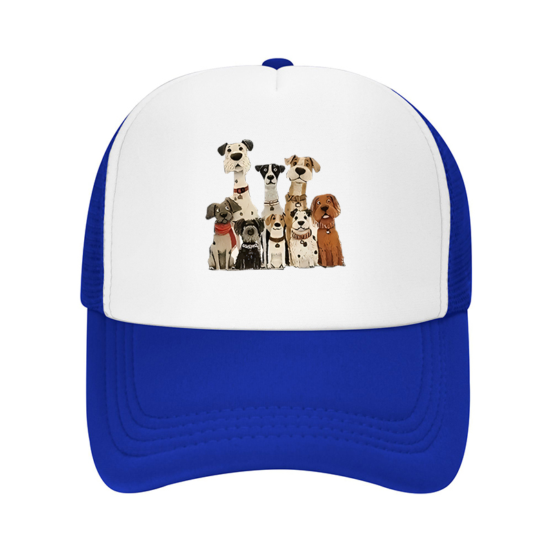 Neue Sommer-Streetwear-Marke B – Cap Streetwear Brand Bewertung und Preis